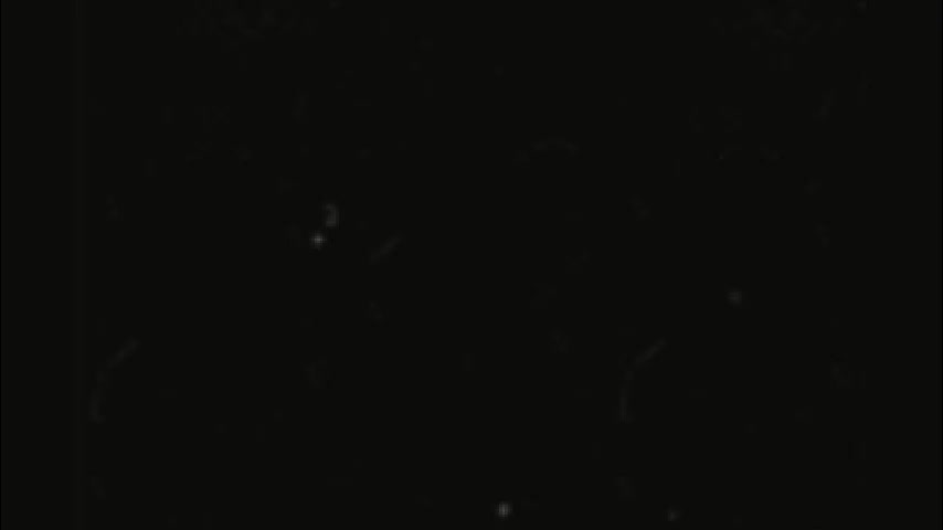 rockstarsgames Live Sex February 9, 2026