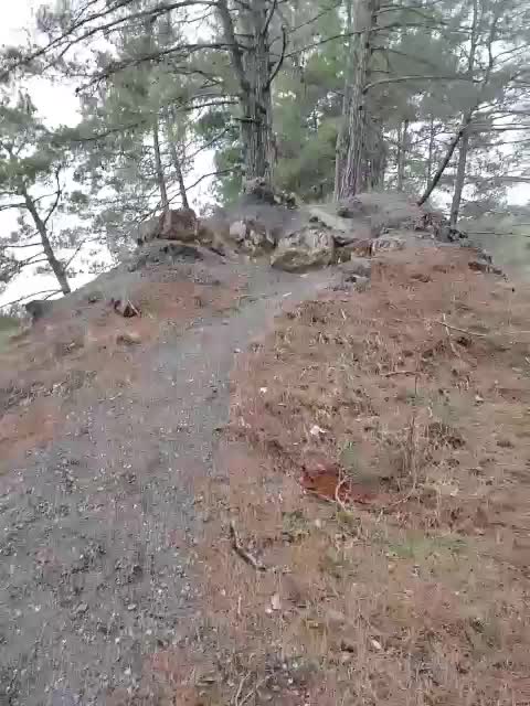 Alex80-201 Live Sex February 9, 2026