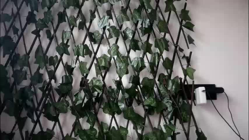 karoline121 Live Sex February 9, 2026