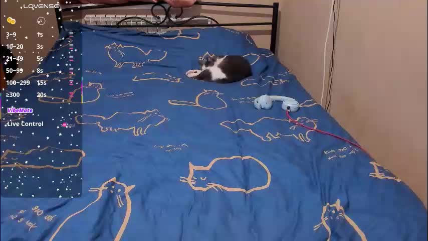 eva_zero Live Sex February 10, 2026