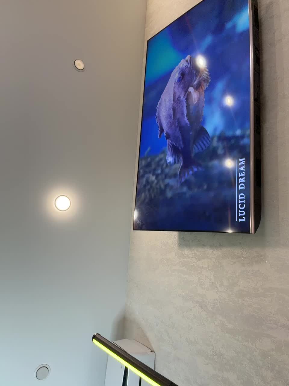 _Ellidi_ Live Sex February 10, 2026