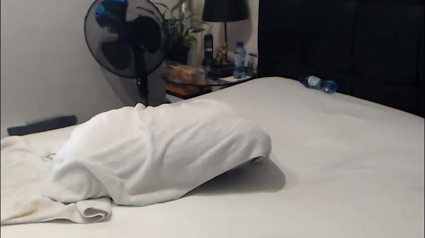 passiekoppel Live Sex February 10, 2026