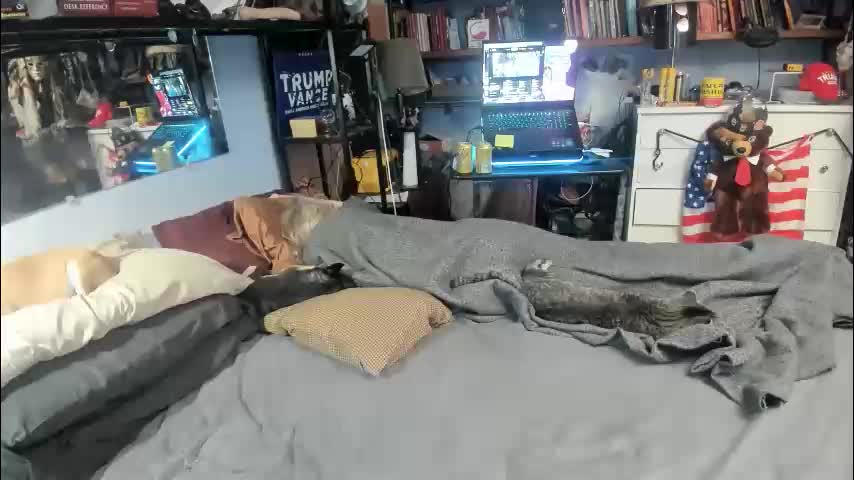 pink_black Live Sex February 10, 2026