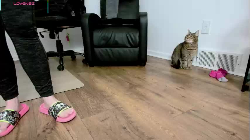 jjjust4fun1985 Live Sex February 10, 2026