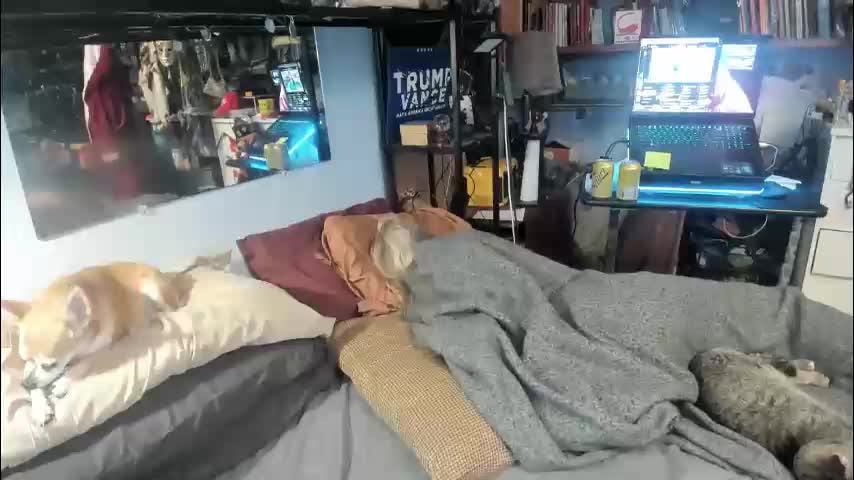 pink_black Live Sex February 10, 2026