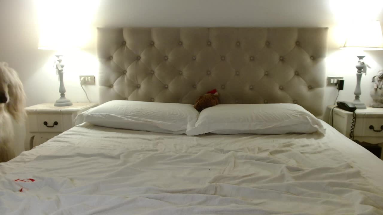 Sweet_Perry Live Sex February 11, 2026