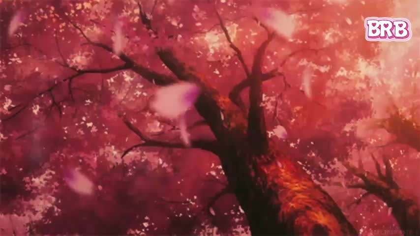 Akiame Live Sex February 11, 2026