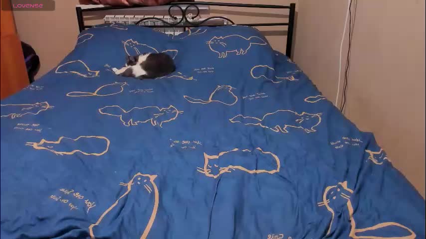 eva_zero Live Sex February 11, 2026