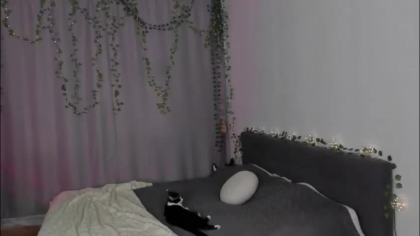 gin_yoon Live Sex February 11, 2026