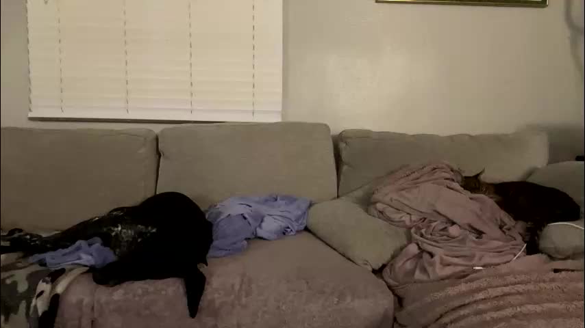 goddessmayvn Live Sex February 12, 2026