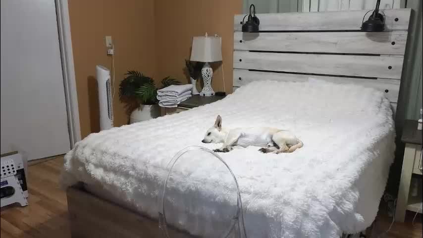 julianaxxxrose Live Sex February 12, 2026