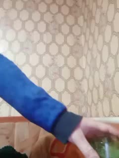 Calibriya Live Sex February 12, 2026