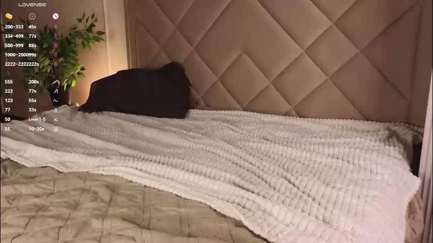 vivi_ennes Live Sex February 12, 2026