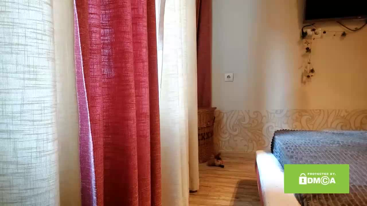 CandyChollett Live Sex February 12, 2026