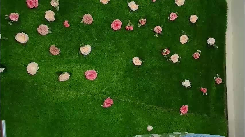 megatitts_ Live Sex February 13, 2026