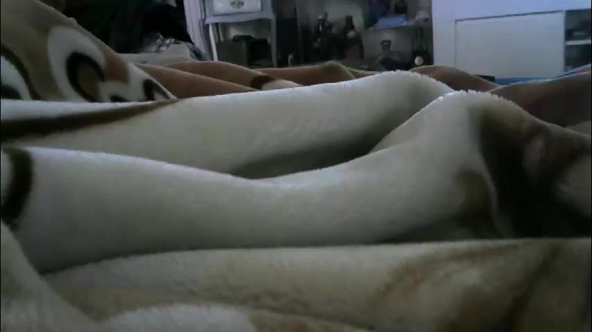 ebonyendebeest Live Sex February 13, 2026