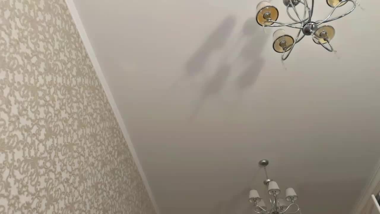 bunnydollstella Live Sex February 14, 2026