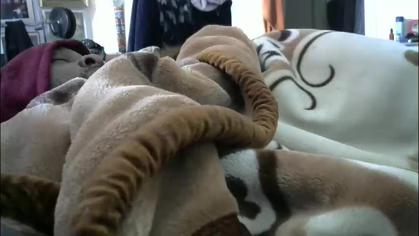 ebonyendebeest Live Sex February 15, 2026