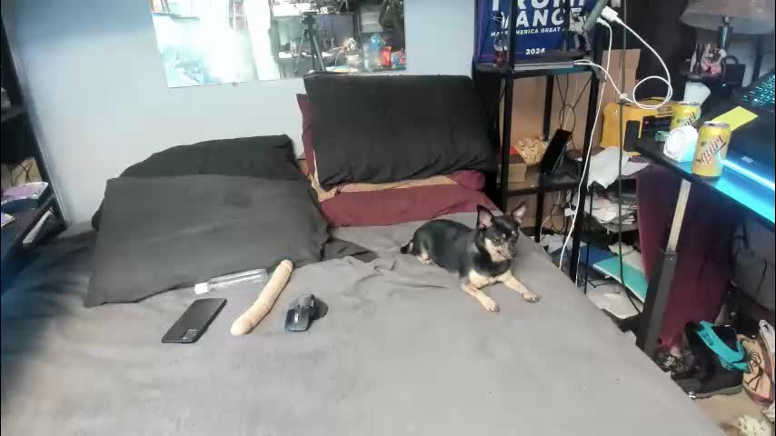 pink_black Live Sex February 15, 2026