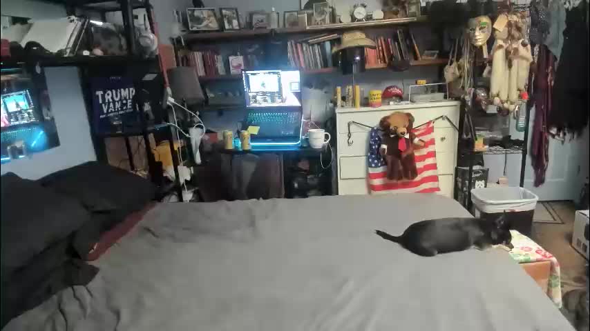 pink_black Live Sex February 15, 2026