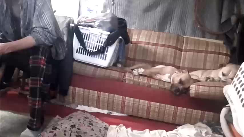 cowboysprincess Live Sex February 15, 2026