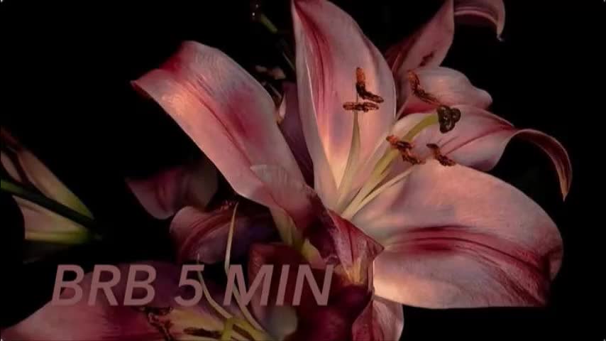 moranosofia Live Sex February 15, 2026