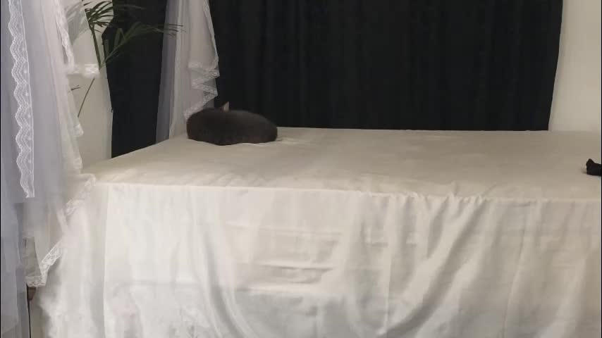 xxxvandersexxx Live Sex February 15, 2026