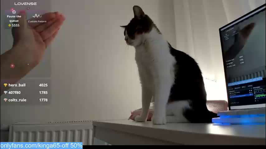 sugar_rainbow Live Sex February 15, 2026