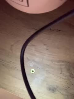 Yummypopka Live Sex February 16, 2026