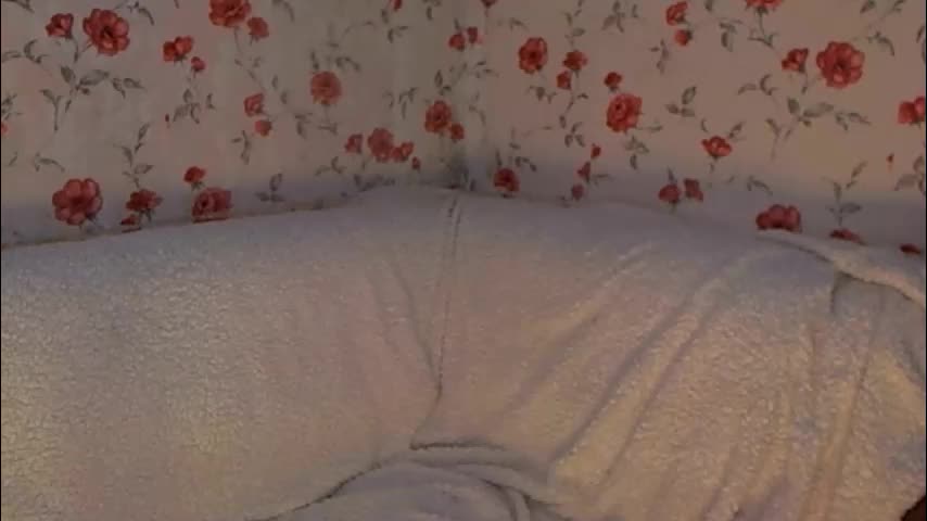 skysupernova Live Sex February 16, 2026