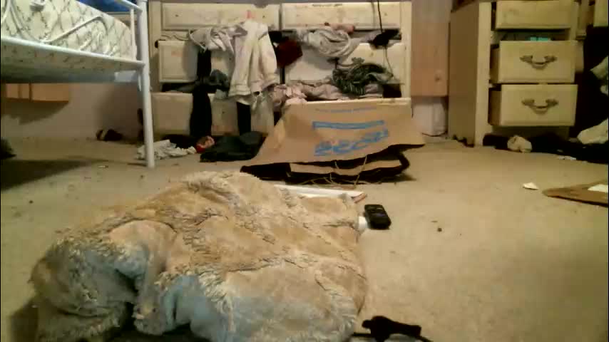 queenkourt Live Sex February 16, 2026