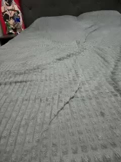 AlinaRay Live Sex February 16, 2026