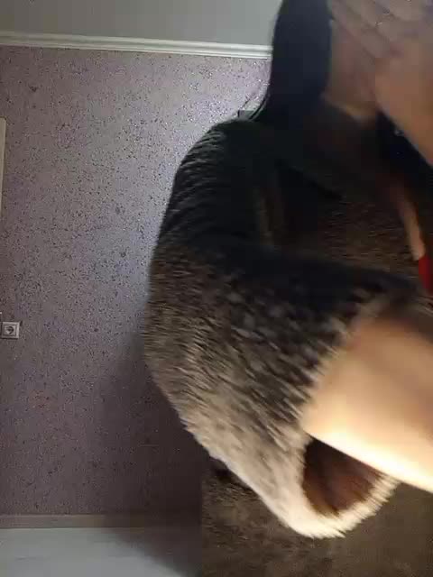 exnasis Live Sex February 17, 2026