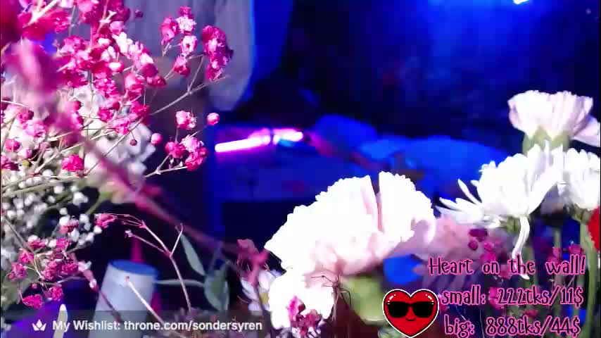 tricky_nymph Live Sex February 17, 2026