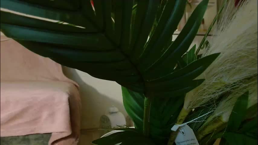 imcarrieberry Live Sex February 17, 2026