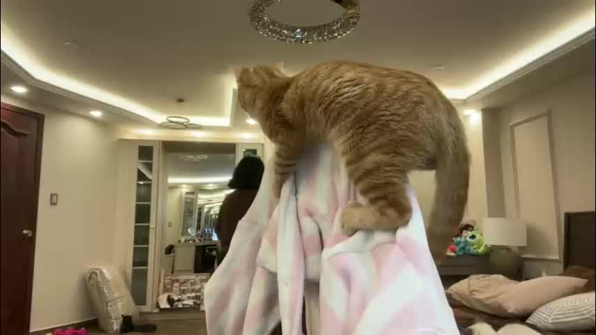 therealcamilabaddie Live Sex February 18, 2026