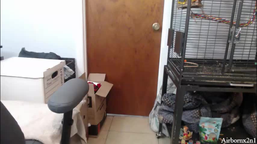 airbornx2n1 Live Sex February 18, 2026