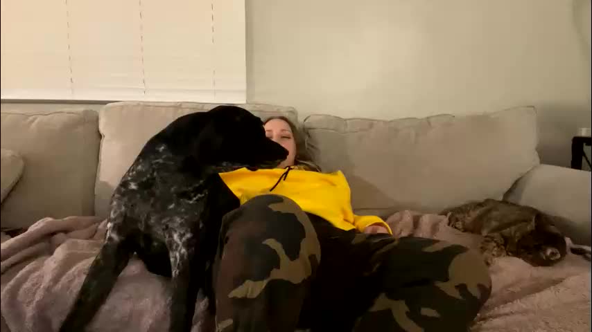 goddessmayvn Live Sex February 19, 2026