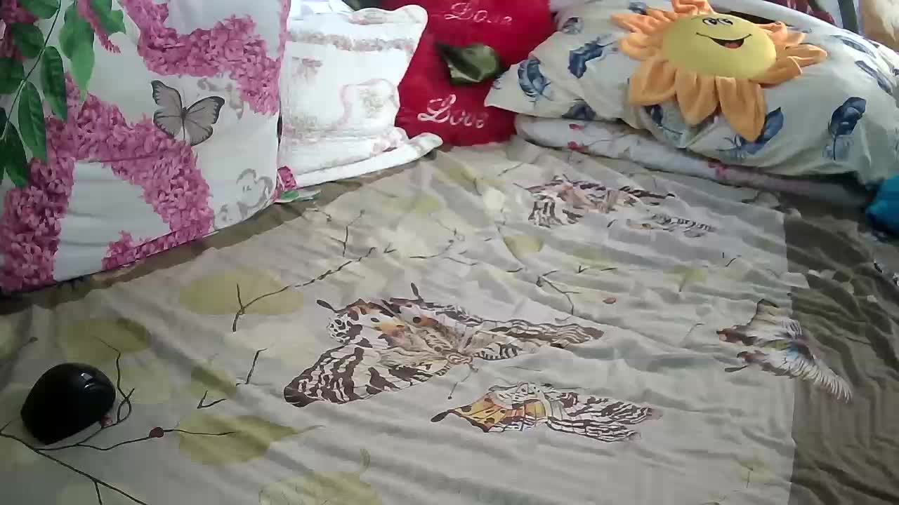 Aktriska Live Sex February 19, 2026