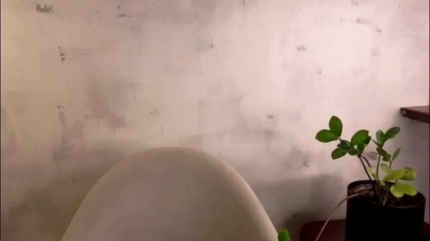 jolyndeb Live Sex February 19, 2026