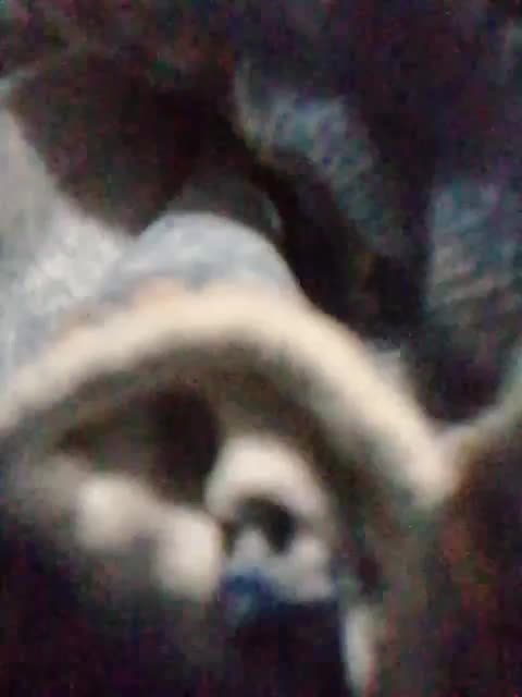 Nika0000 Live Sex February 20, 2026