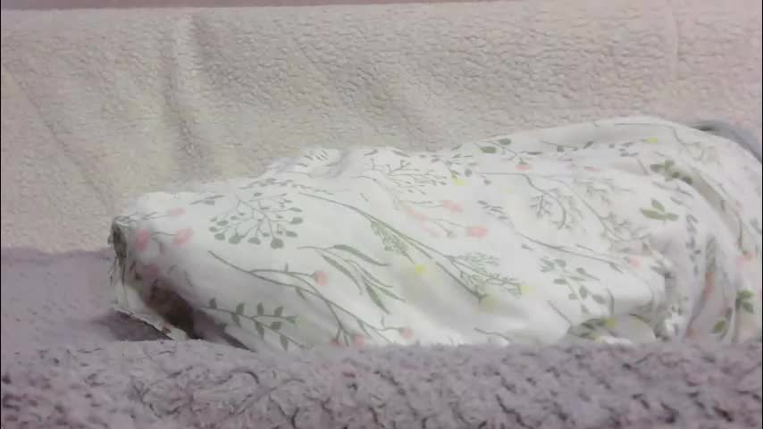 lenorrr Live Sex February 21, 2026