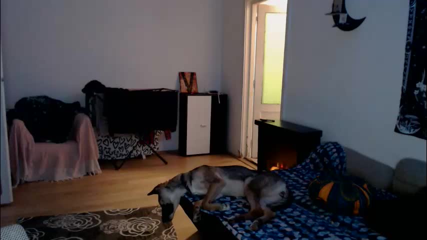 aliens4twenty Live Sex February 22, 2026