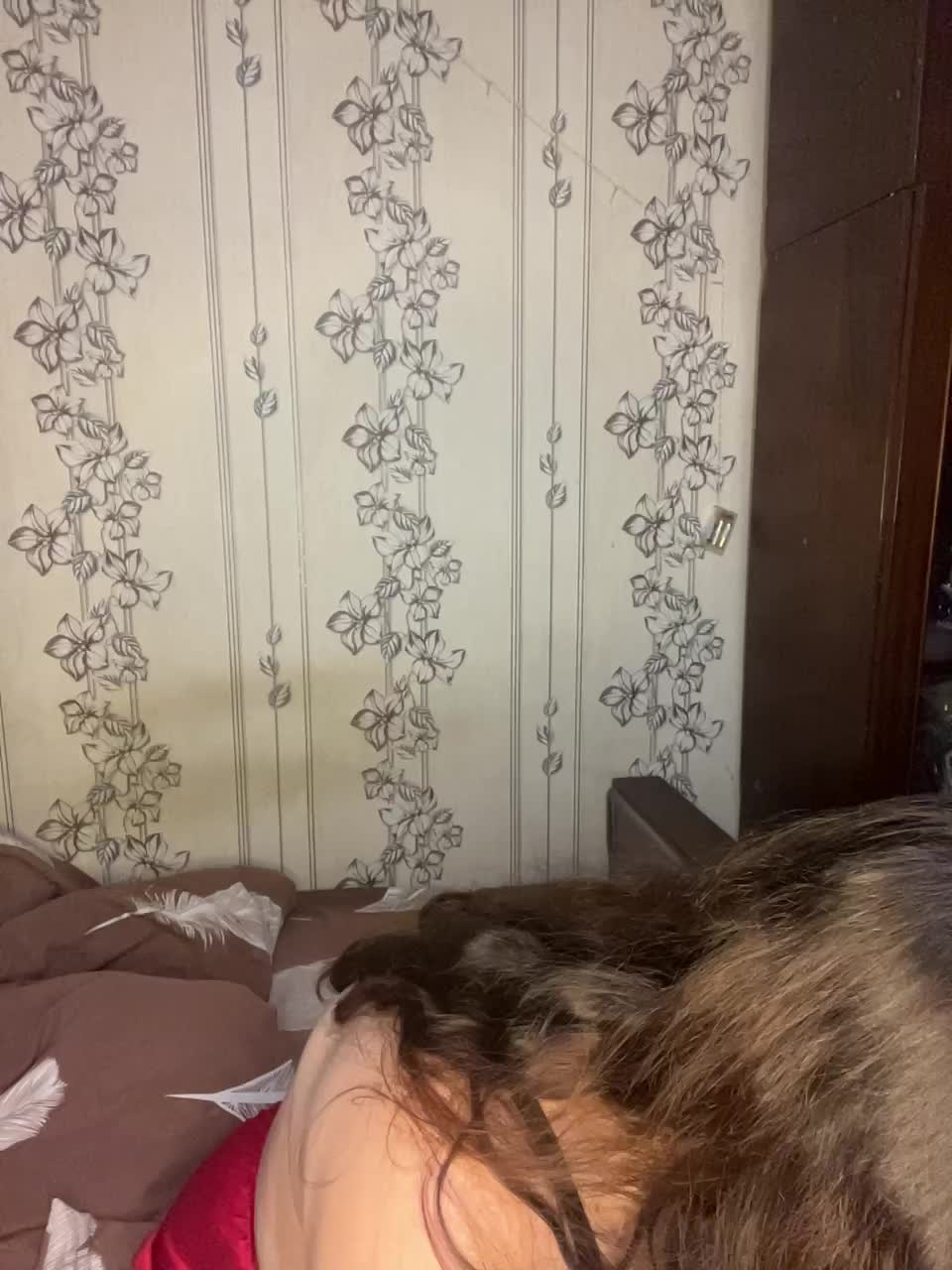 96Angel96 Live Sex February 23, 2026