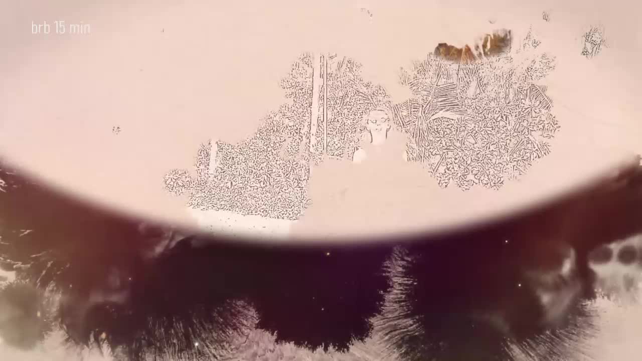 Taanni Live Sex February 23, 2026