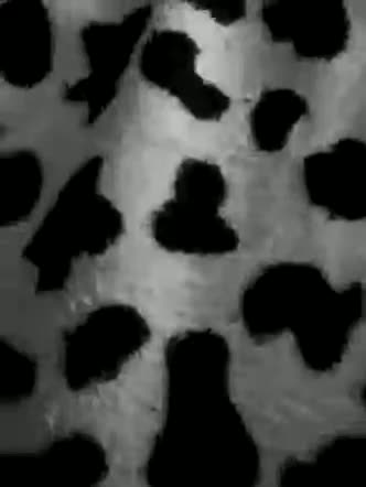 Friends-51 Live Sex February 23, 2026