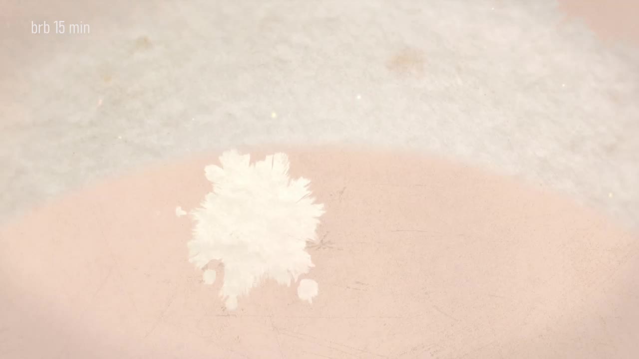 Taanni Live Sex February 23, 2026