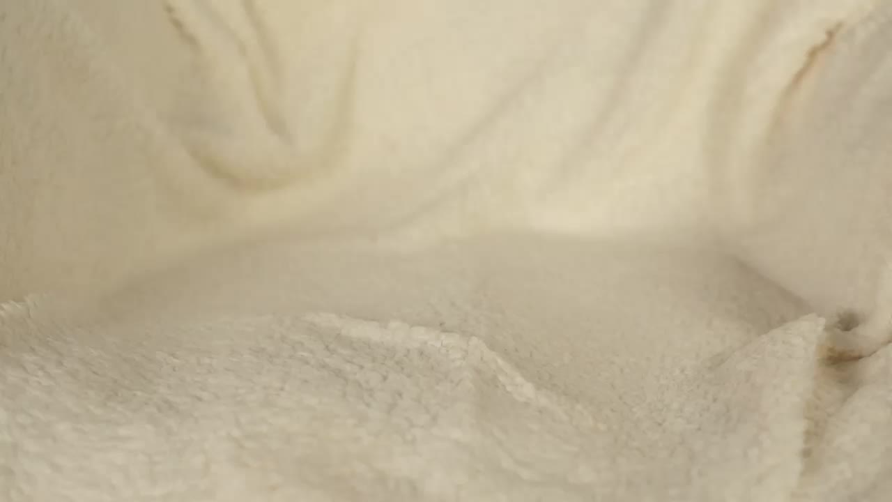 OrsonHodge Live Sex February 23, 2026