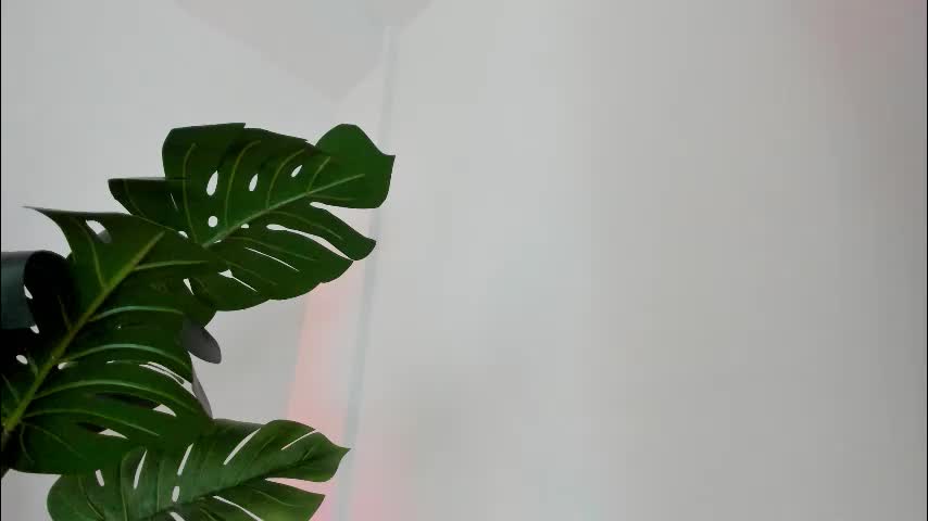 ashllovee_ Live Sex February 24, 2026