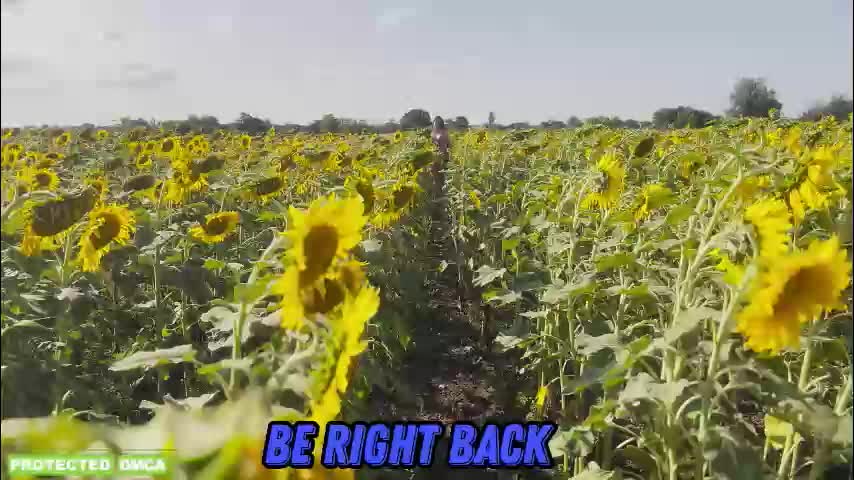 sunflower0907 Live Sex February 24, 2026